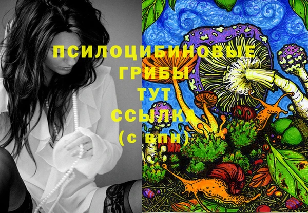 ПСИЛОЦИБИНОВЫЕ ГРИБЫ Алексин