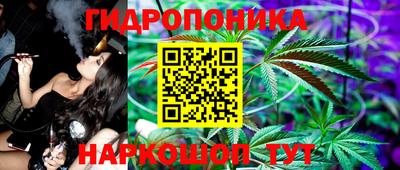 молекула духа Среднеуральск