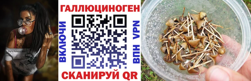 Галлюциногенные грибы прущие грибы  Пенза 