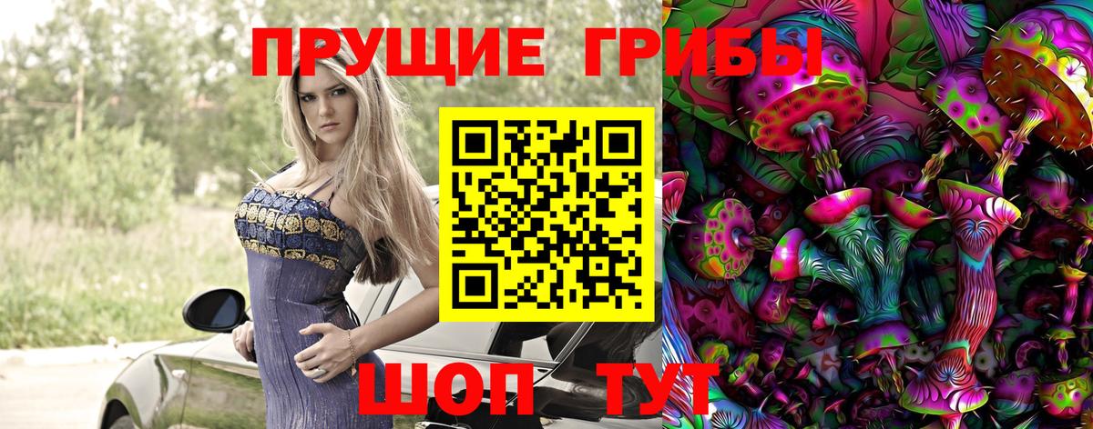 Пенза  Галлюциногенные грибы MAGIC MUSHROOMS  Вход с VPN 
